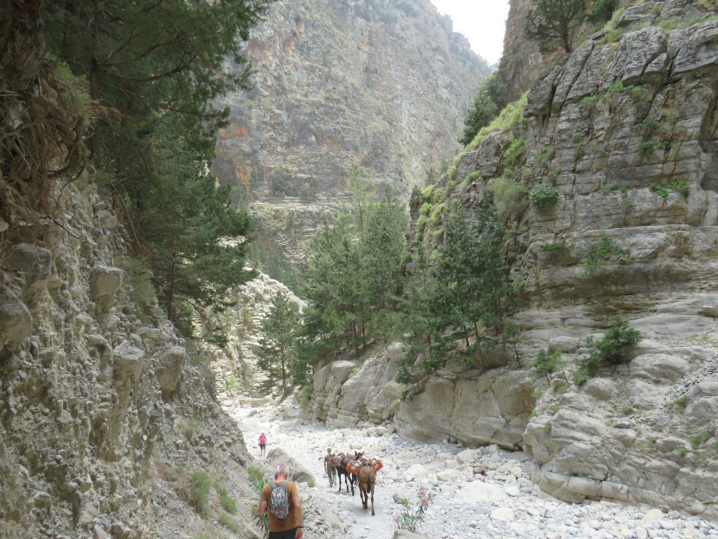 Samaria Gorge