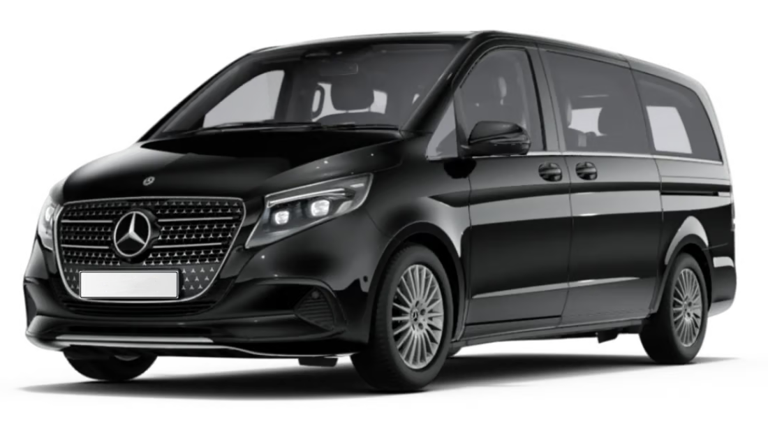 MINI VAN 8
