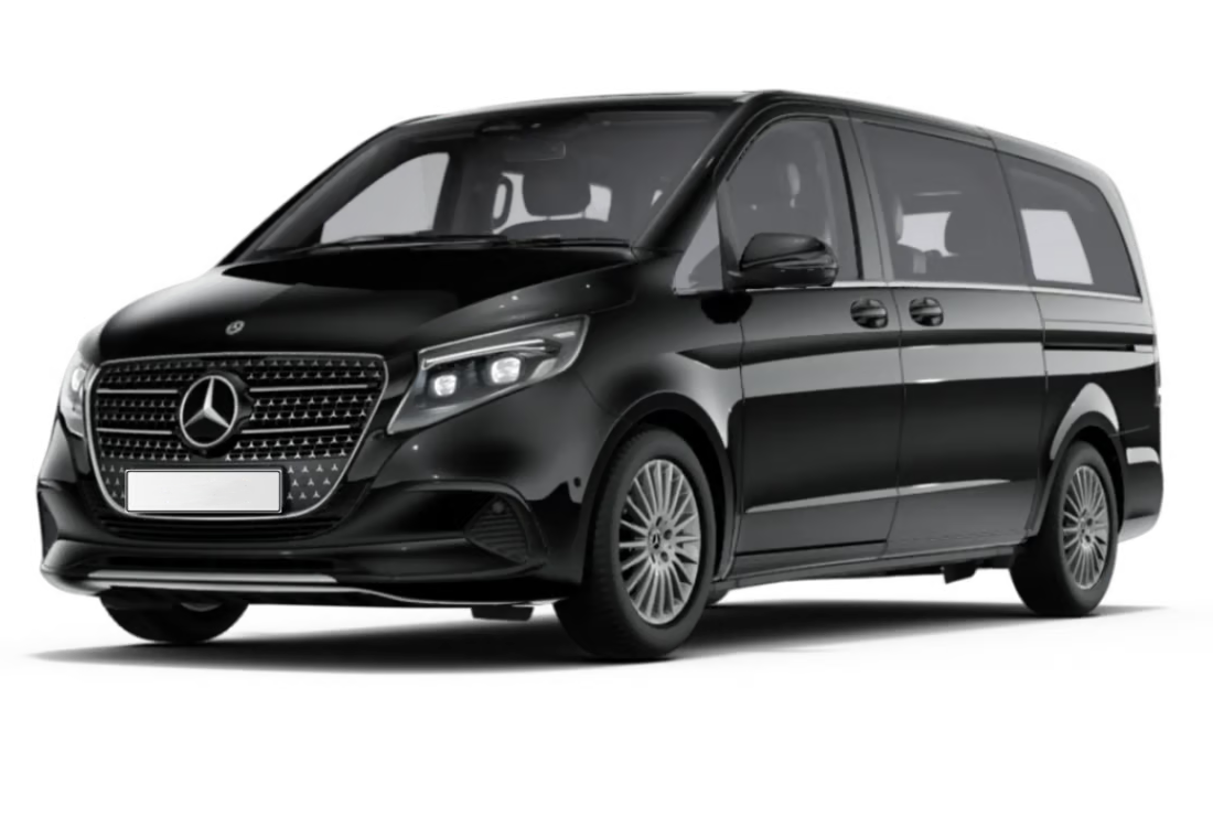 MINI VAN 8